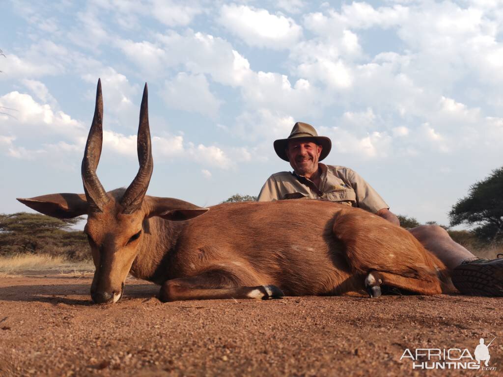 Bushbuck Hunt South Africa