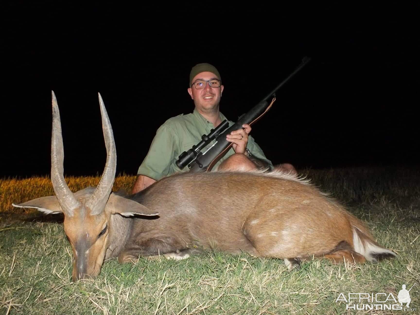 Bushbuck Hunt South Africa