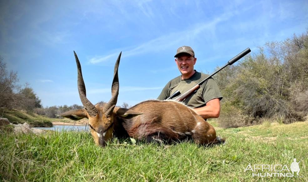 Bushbuck Hunt South Africa