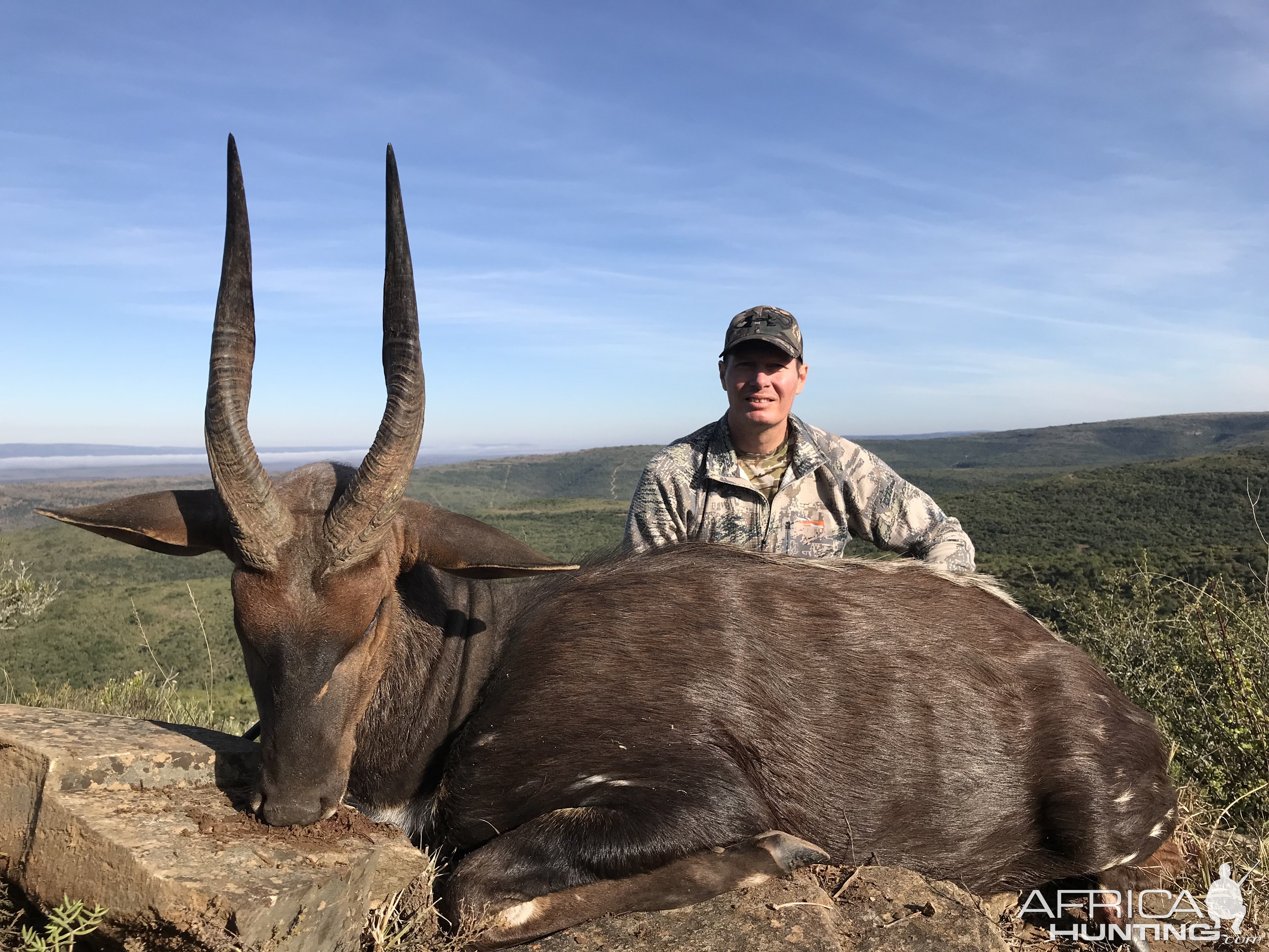 Bushbuck Hunt South Africa