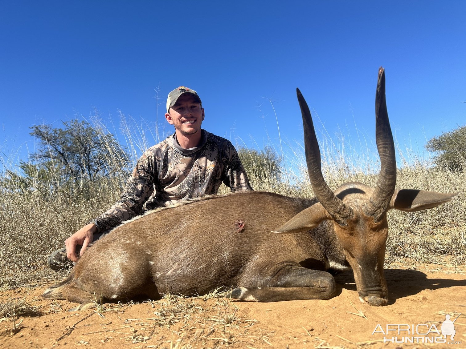 Bushbuck Hunt South Africa