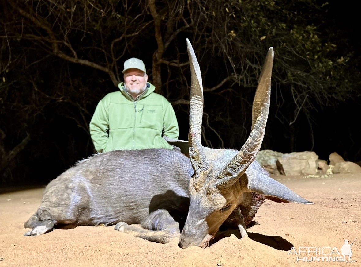 Bushbuck Hunt South Africa