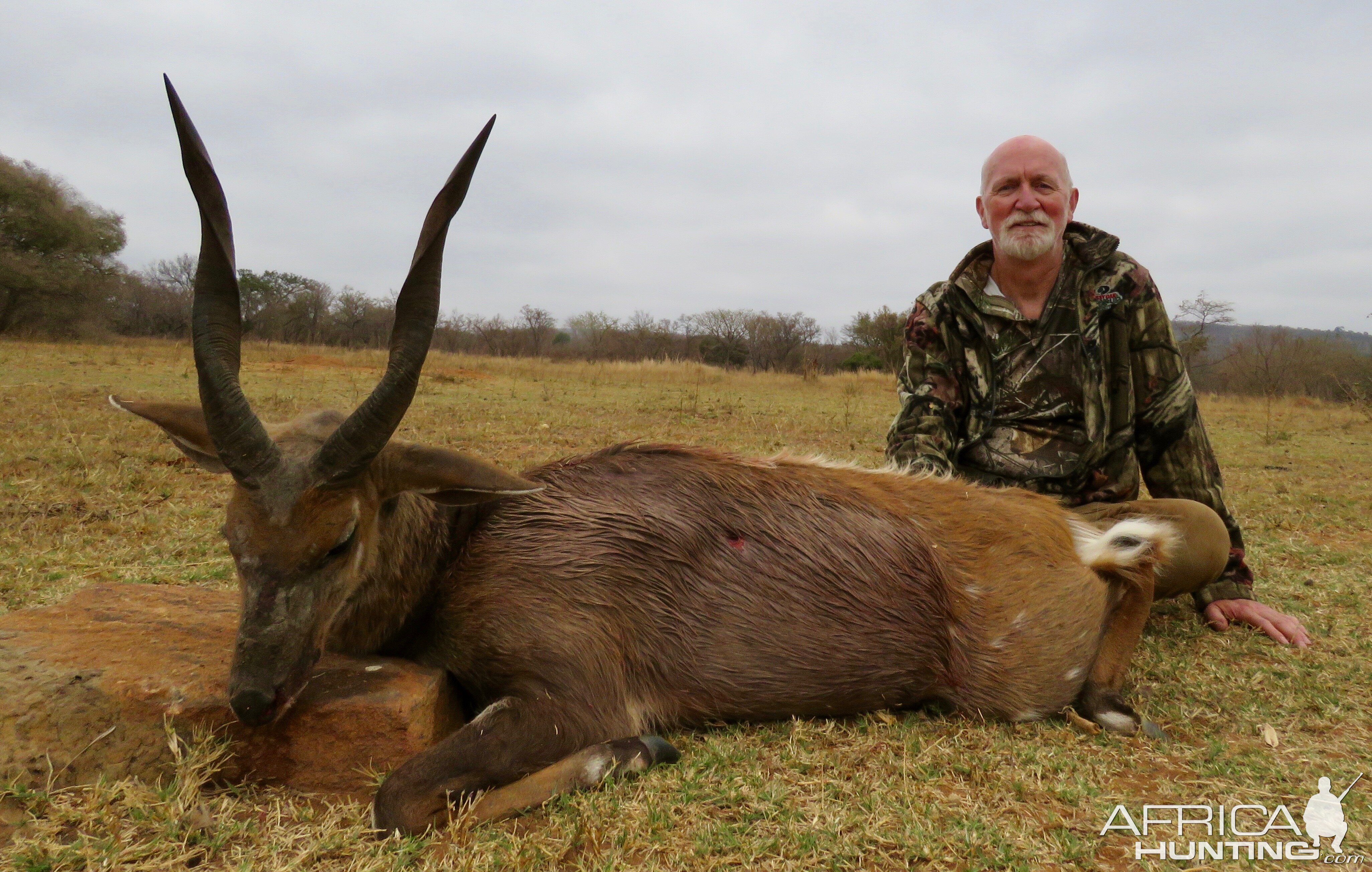 Bushbuck Hunt South Africa