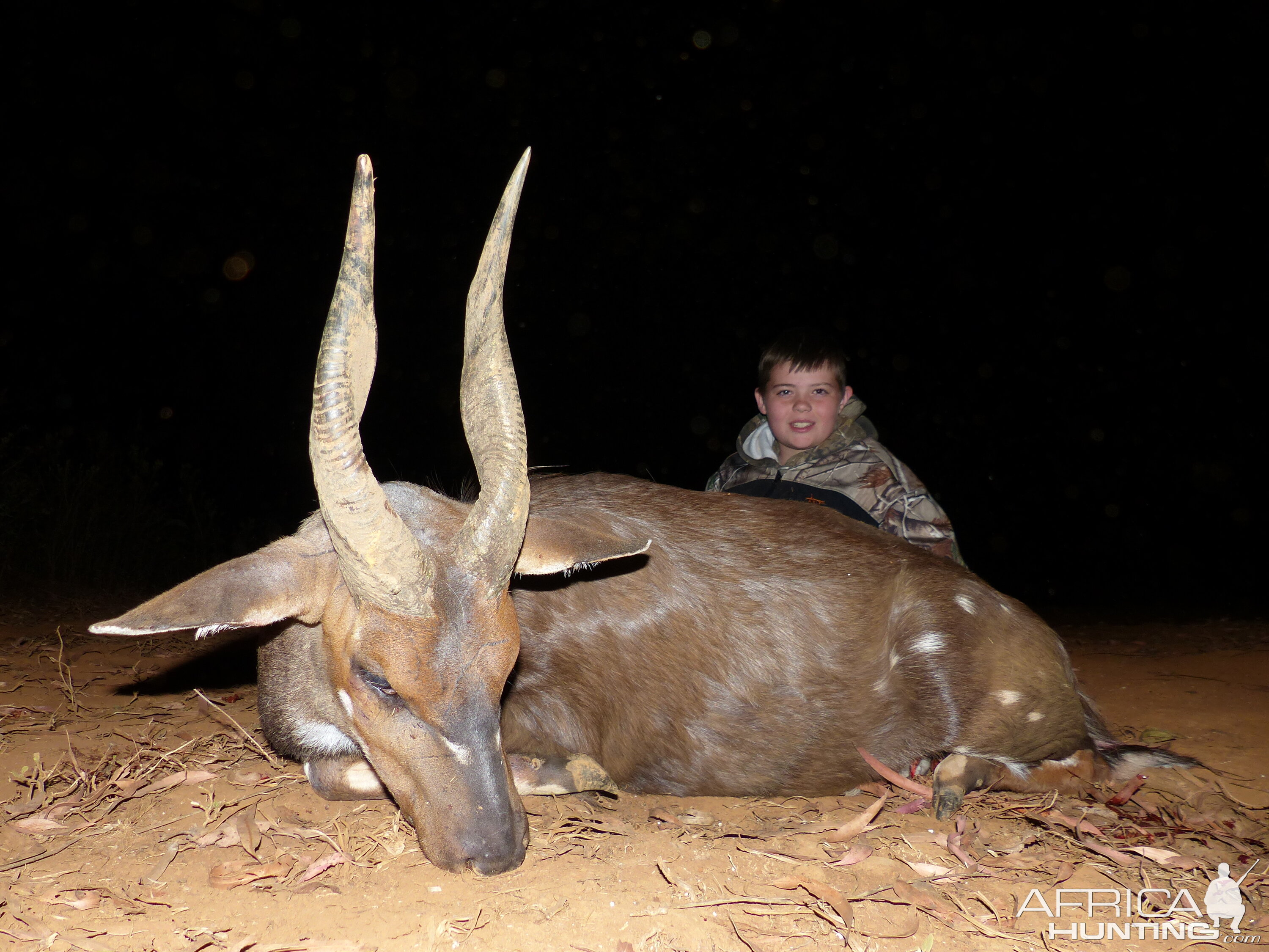 Bushbuck Hunt South Africa