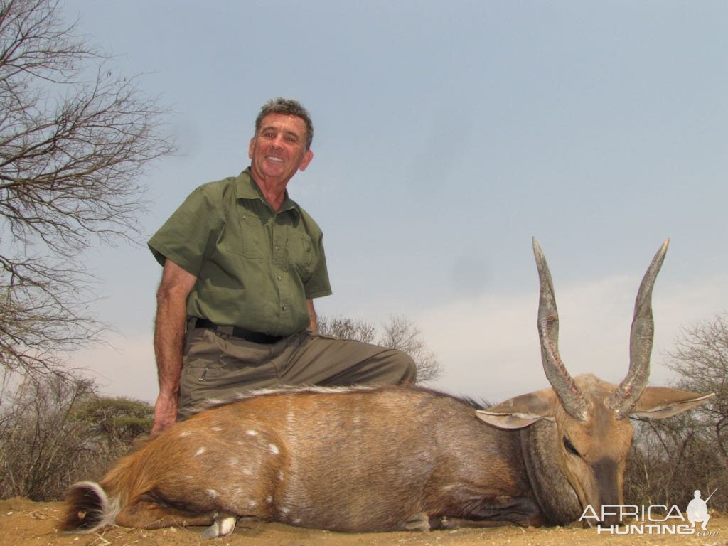 Bushbuck Hunt South Africa