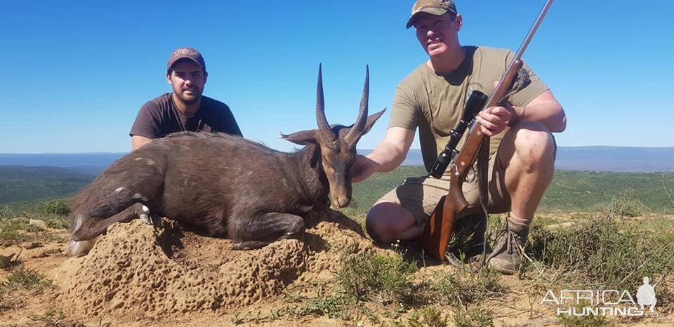 Bushbuck Hunt South Africa