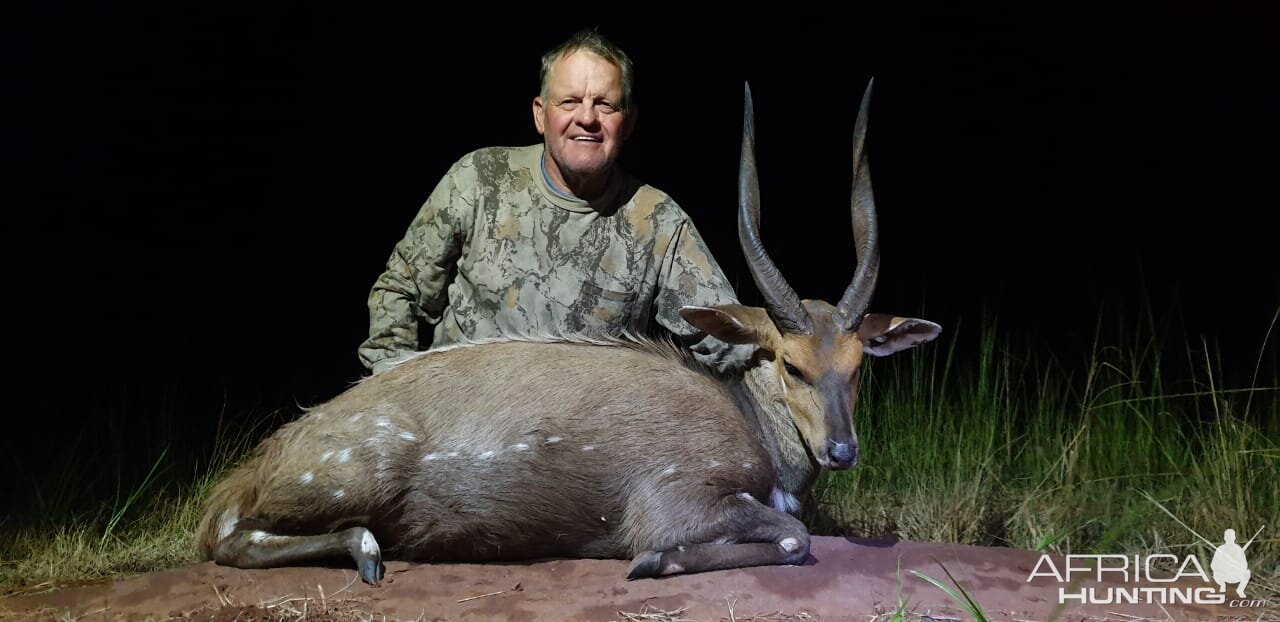 Bushbuck Hunt South Africa