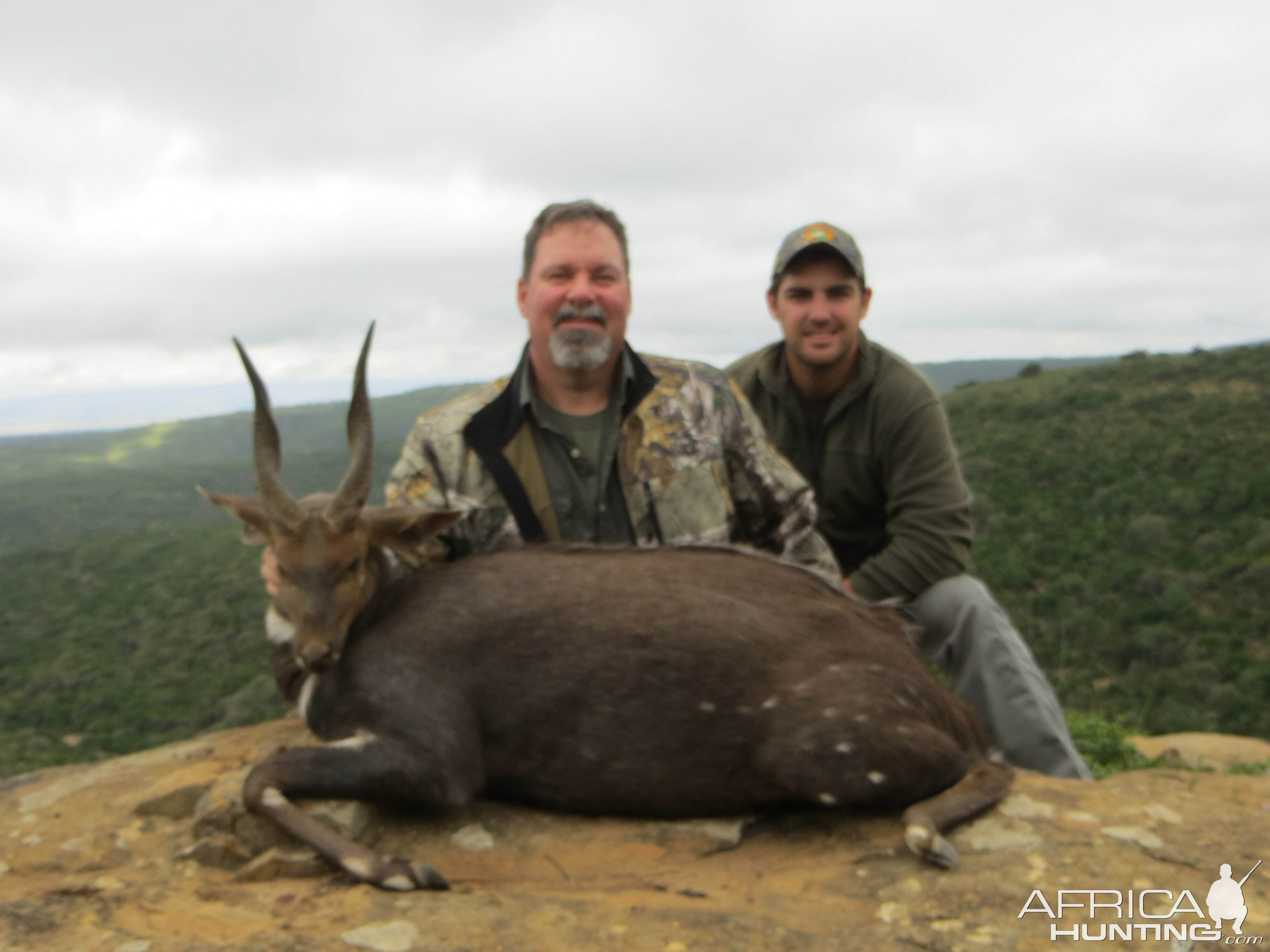 Bushbuck Hunt South Africa