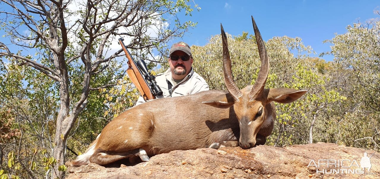 Bushbuck Hunt South Africa