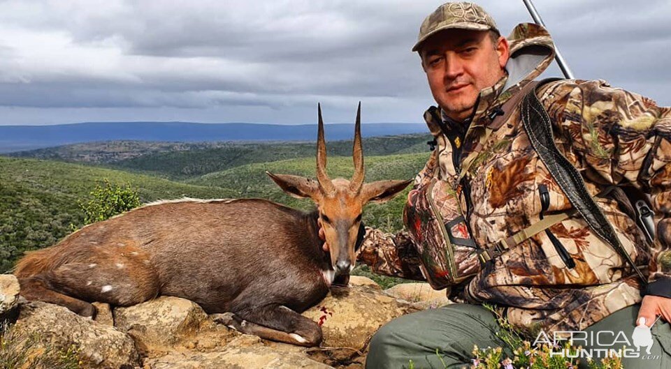 Bushbuck Hunt South Africa