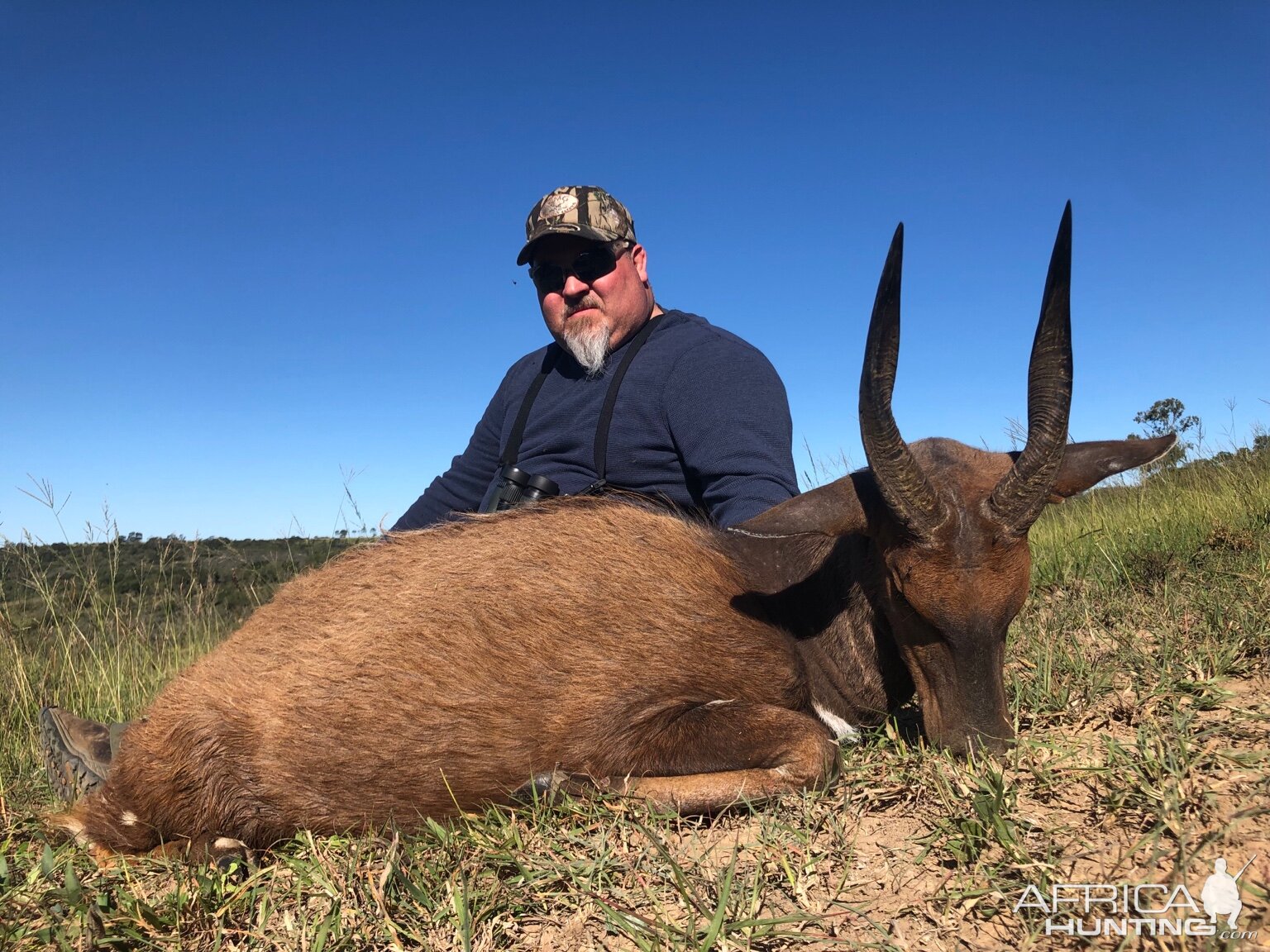 Bushbuck Hunt South Africa