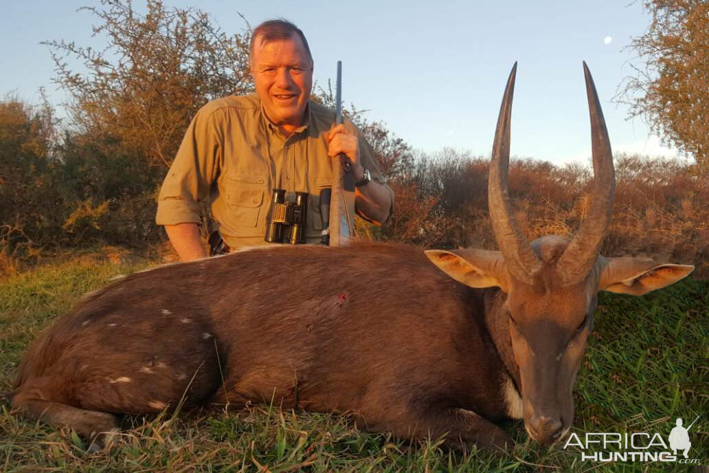 Bushbuck Hunt South Africa