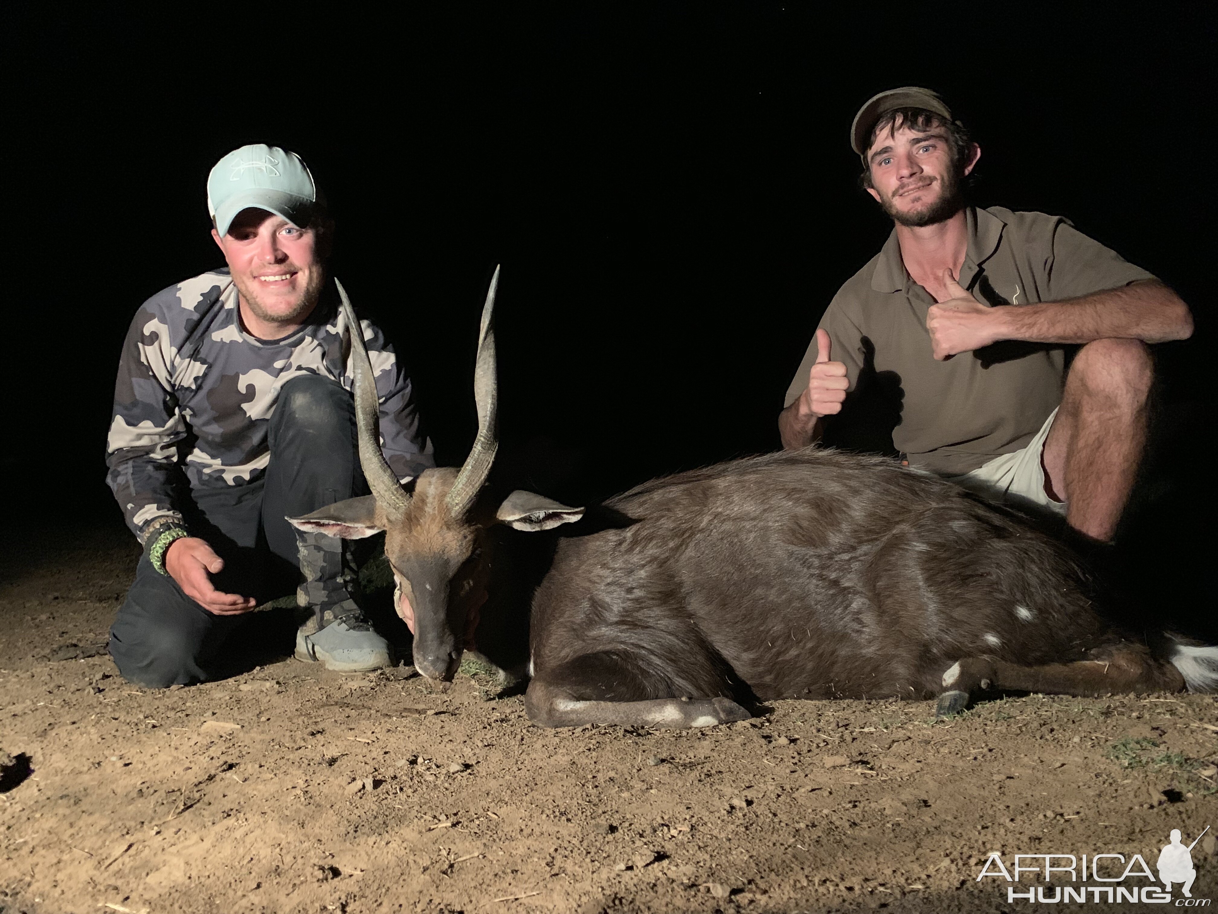 Bushbuck Hunt South Africa