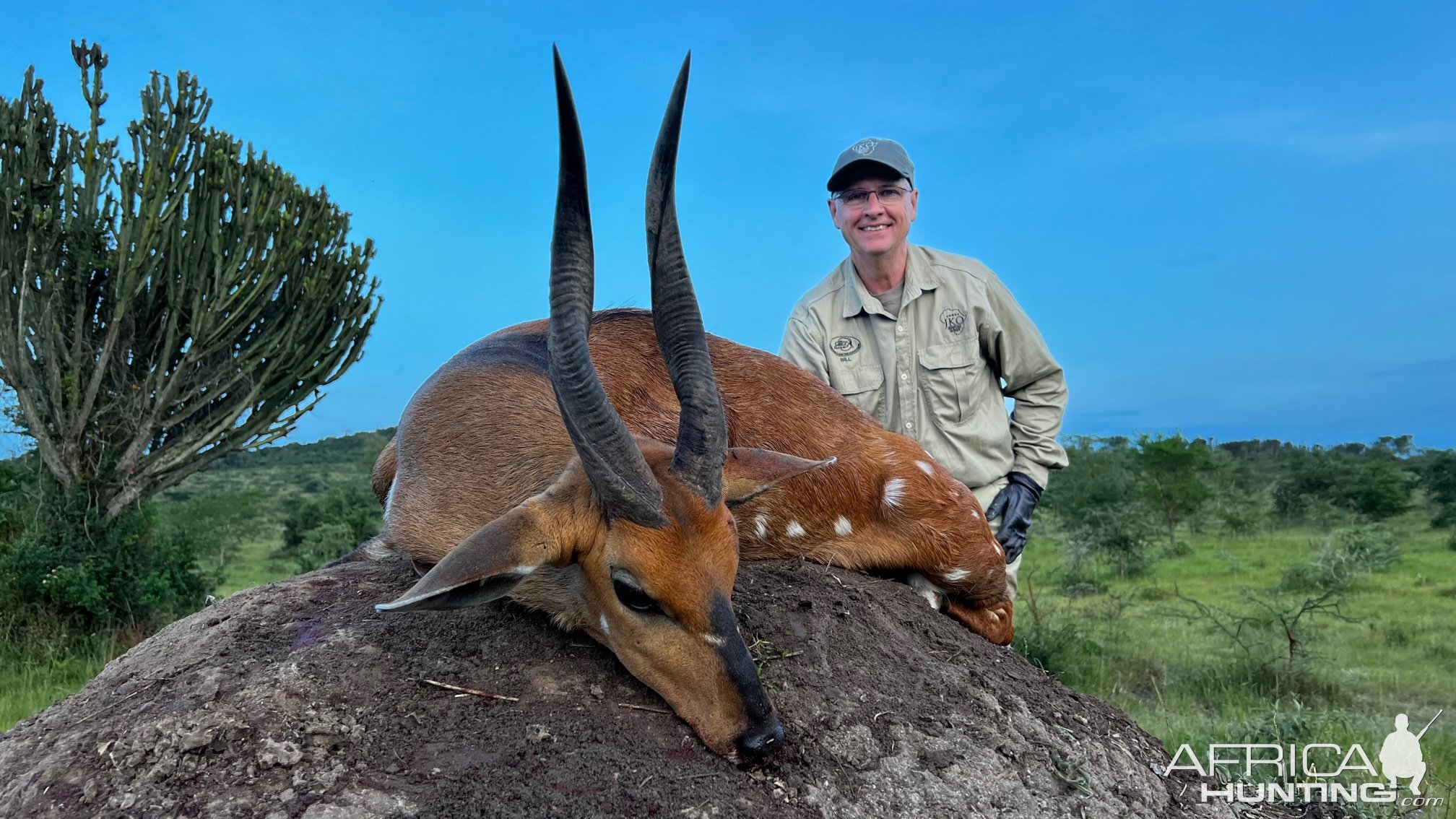 Bushbuck Hunt Uganda