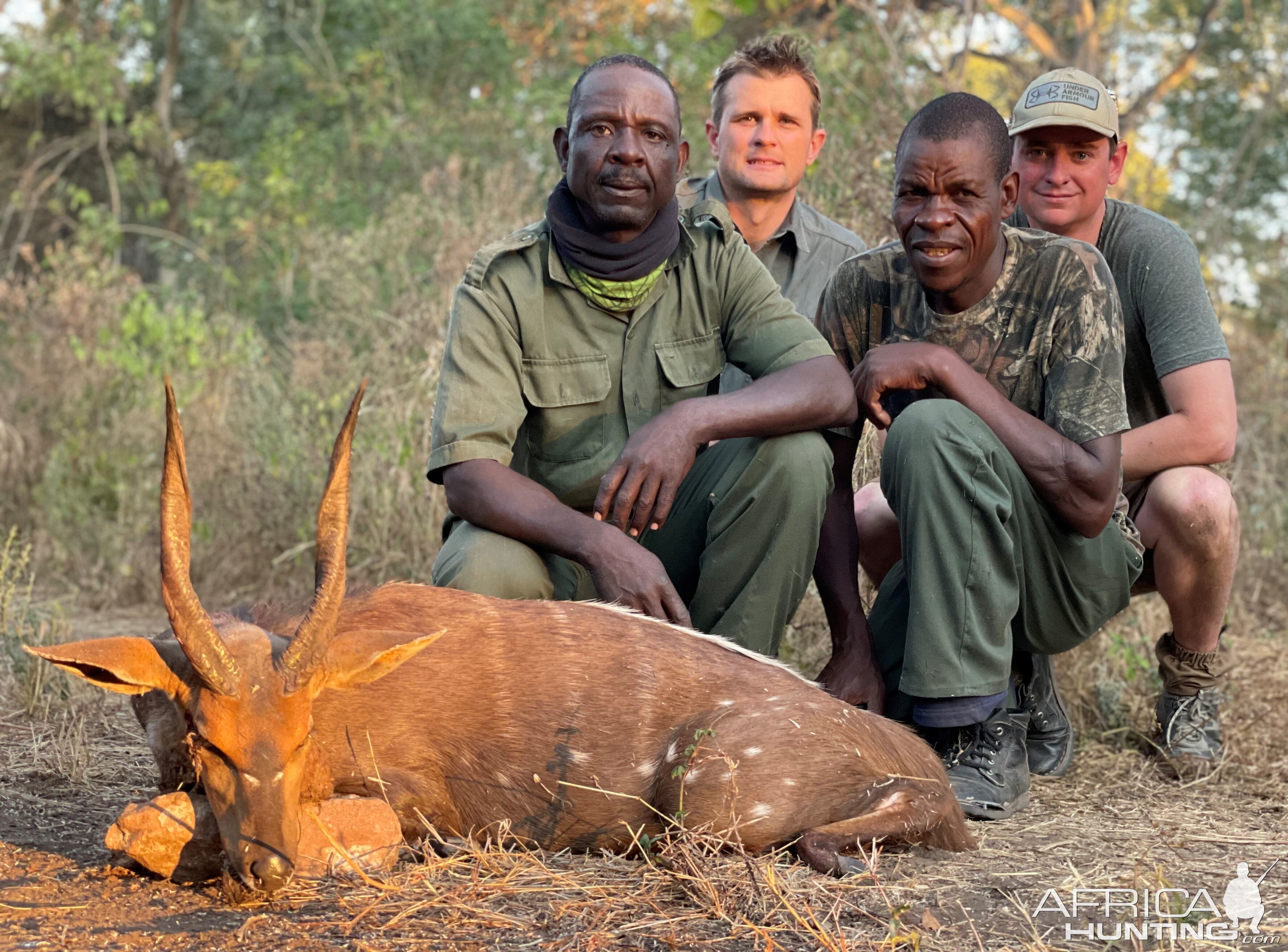 Bushbuck Hunt Zimbabwe