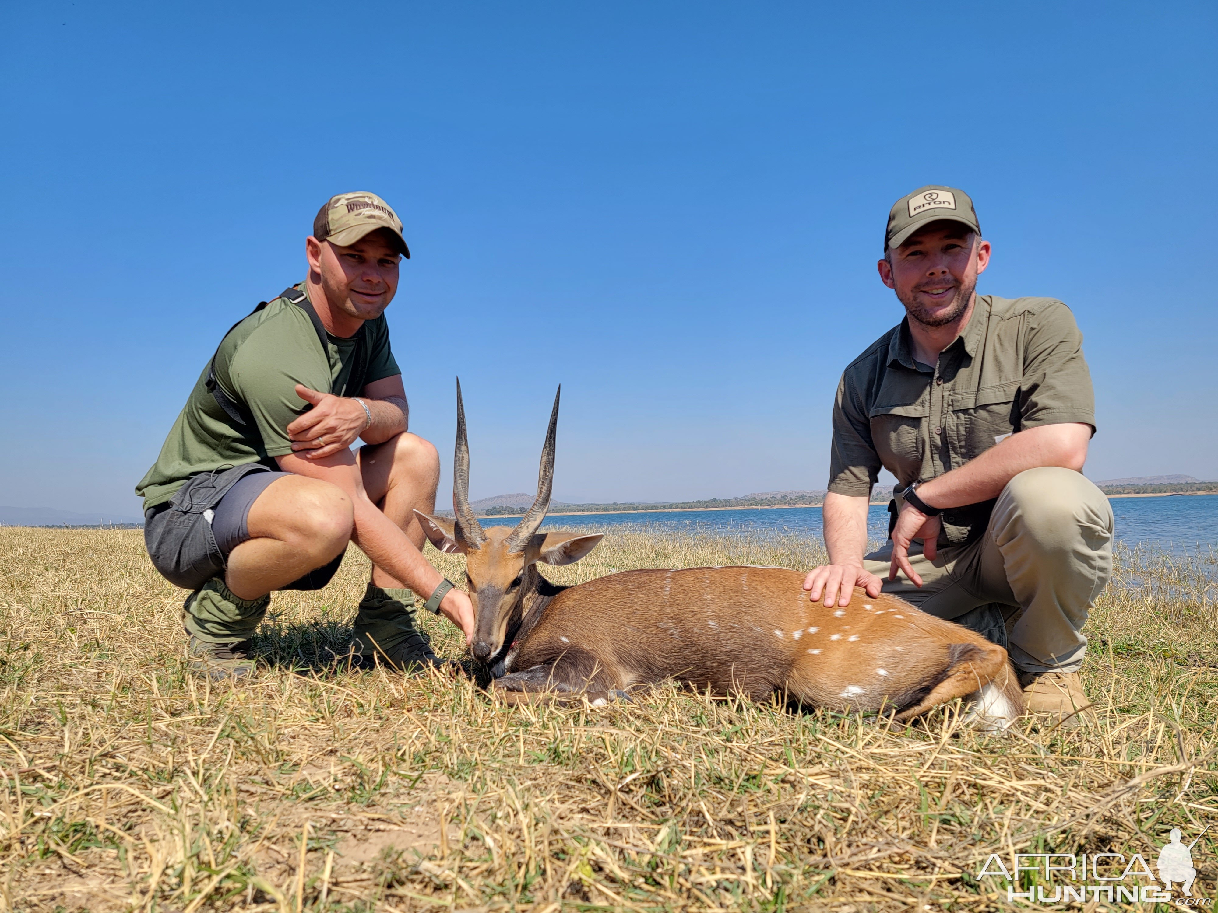 Bushbuck Hunt Zimbabwe