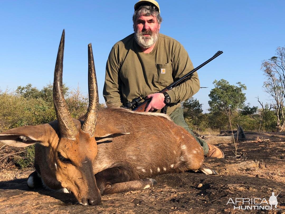 Bushbuck Hunt Zimbabwe