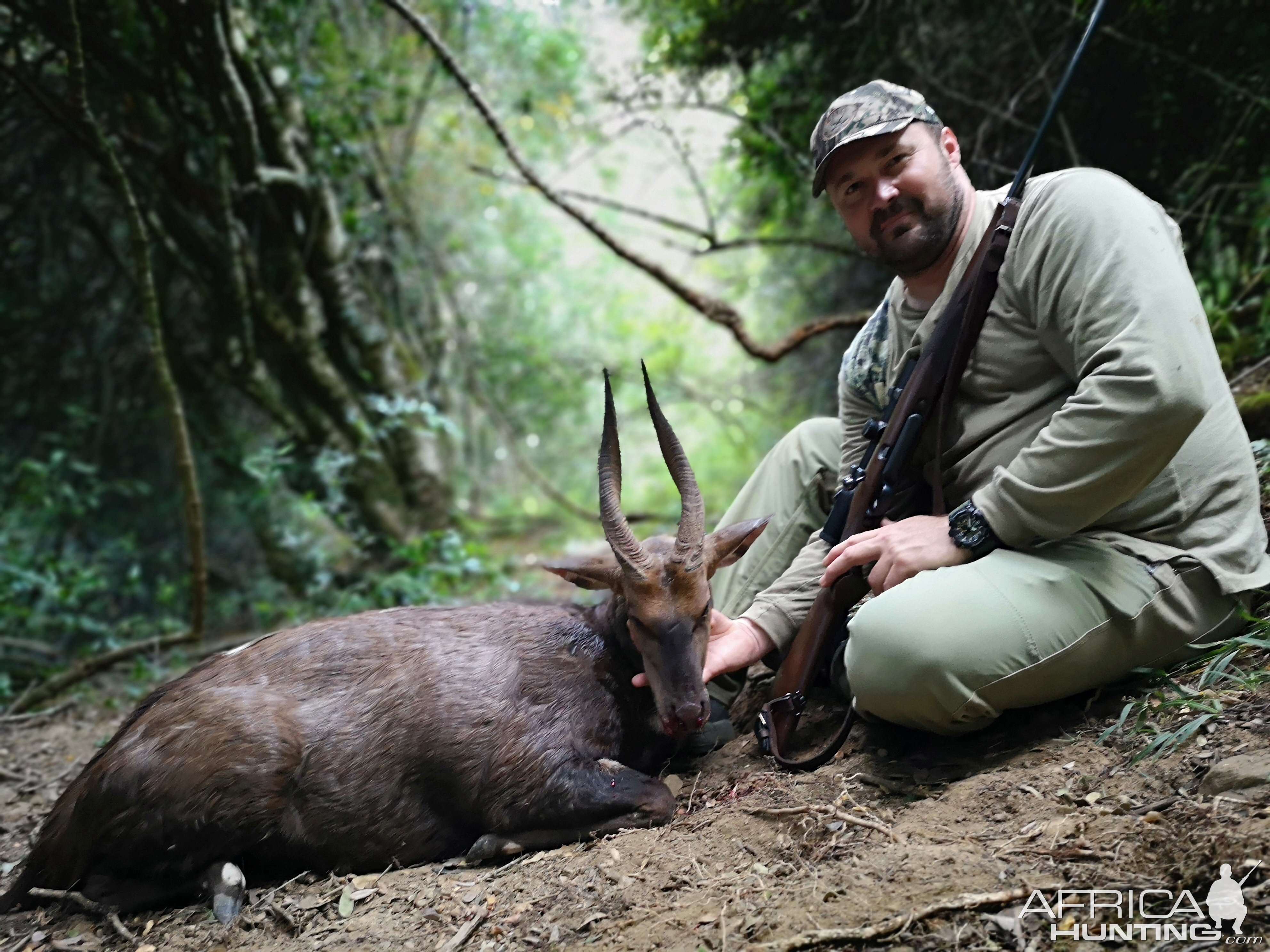 Bushbuck Hunt