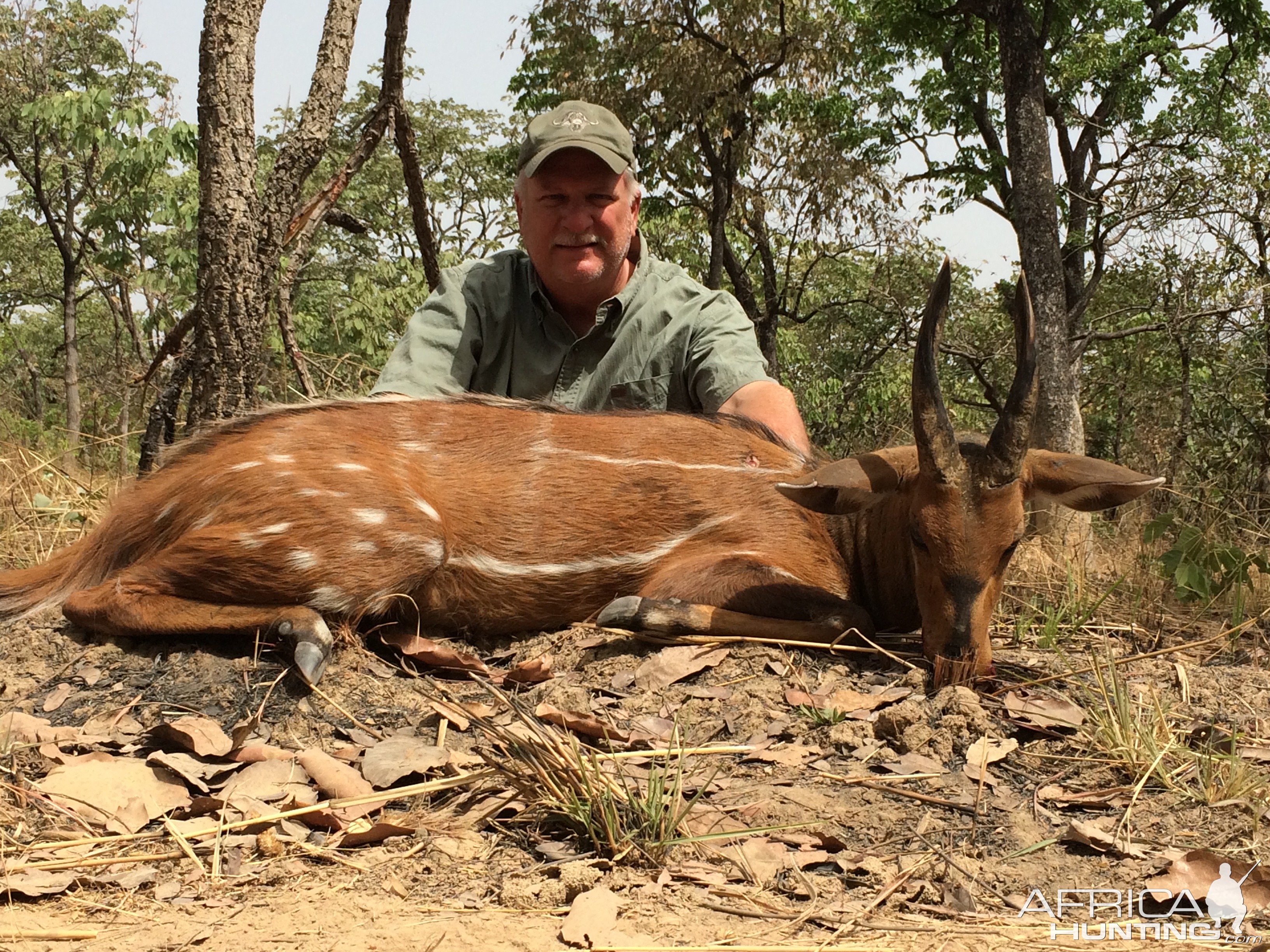 Bushbuck Hunt