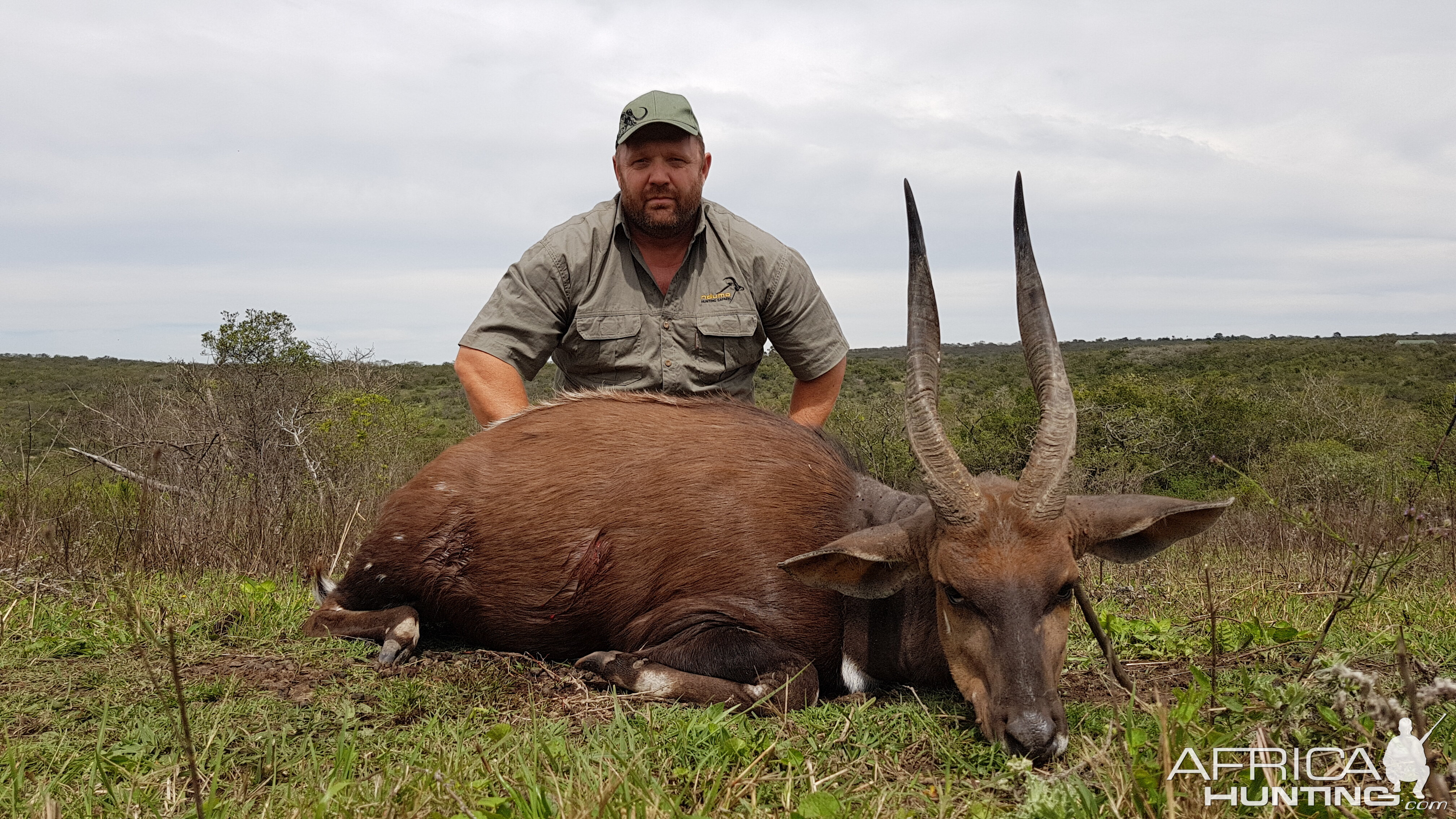 Bushbuck Hunt