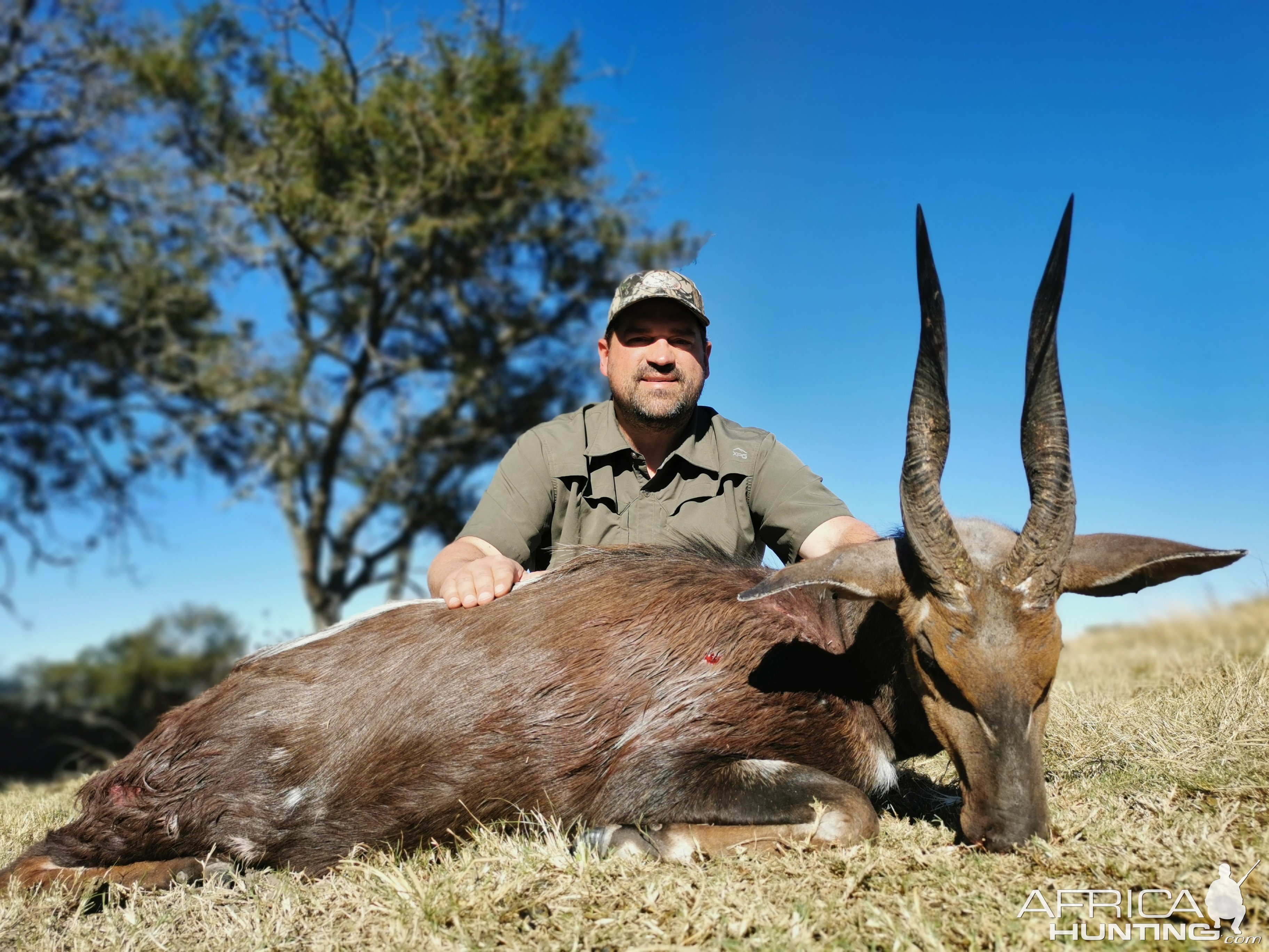 Bushbuck Hunting Eastern Cape South Africa