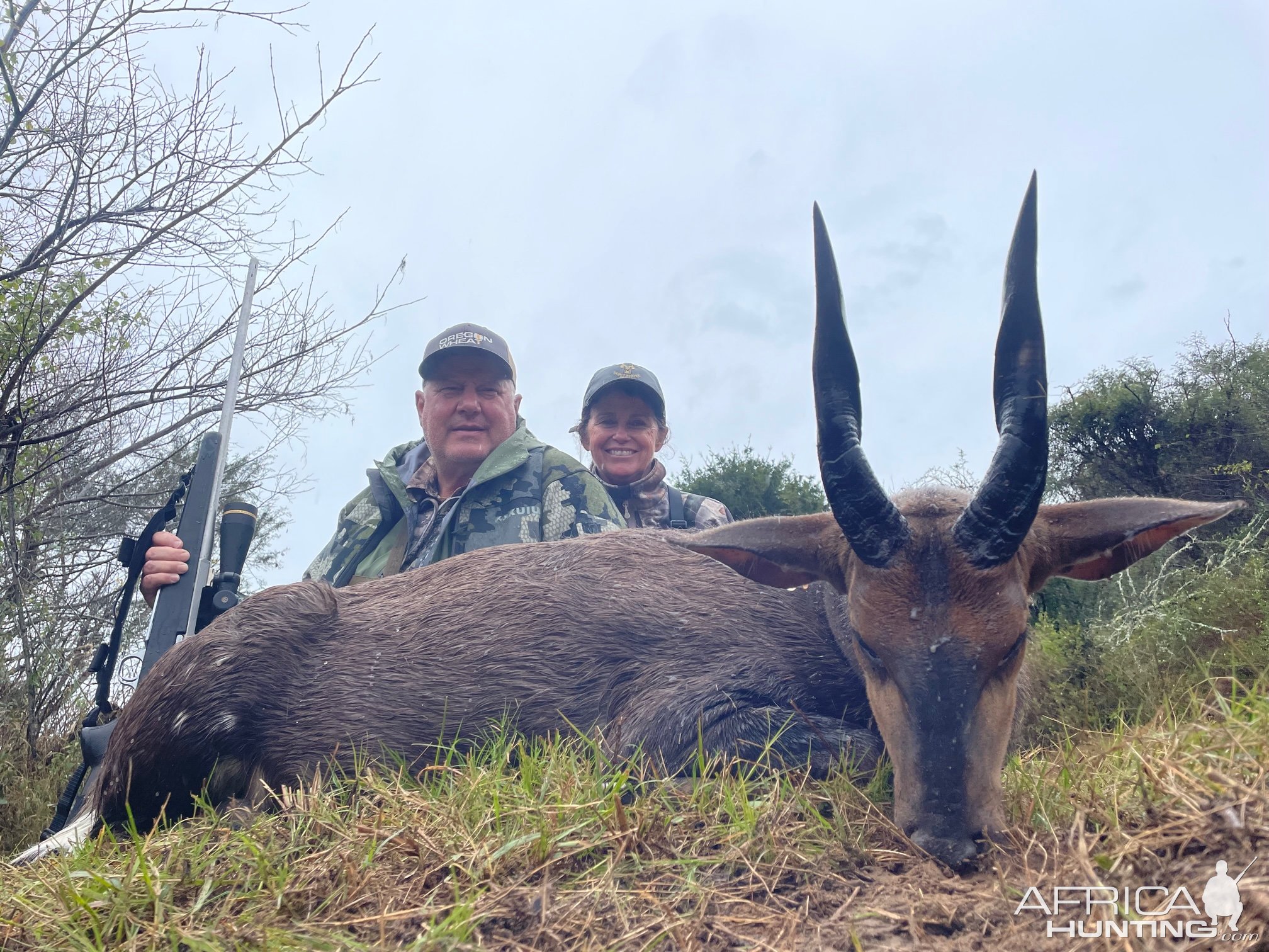 Bushbuck Hunting Eastern Cape South Africa