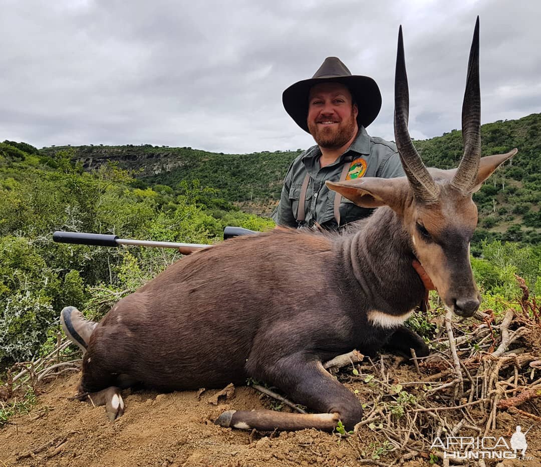 Bushbuck Hunting in South Africa