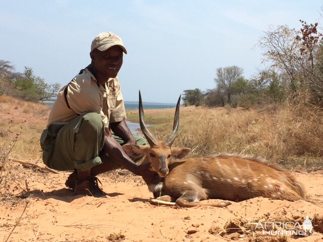 Bushbuck Hunting in Zimbabwe