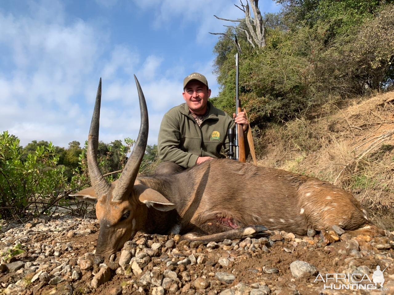 Bushbuck Hunting Limpopo Povince South Africa