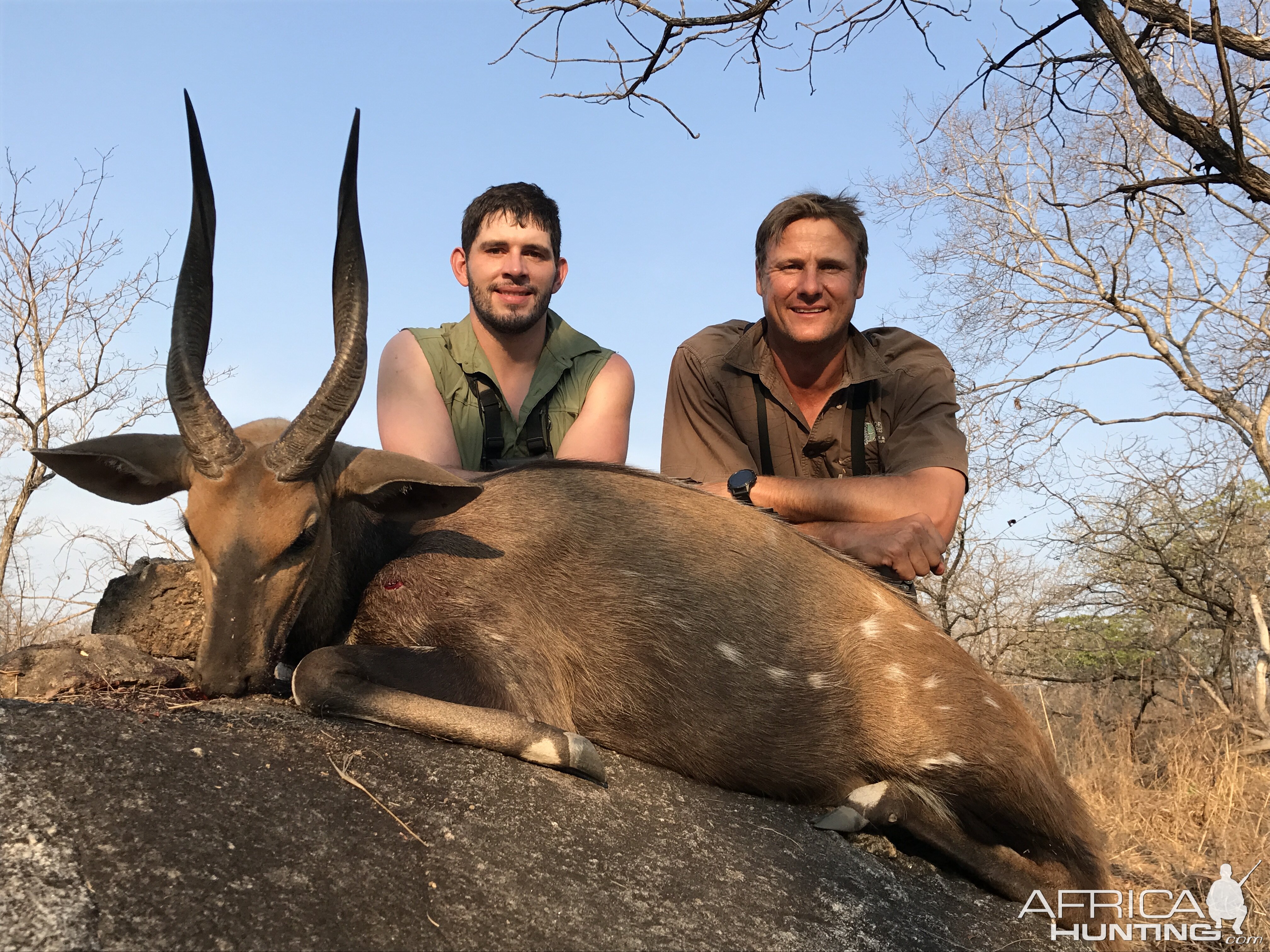 Bushbuck Hunting Mozambique