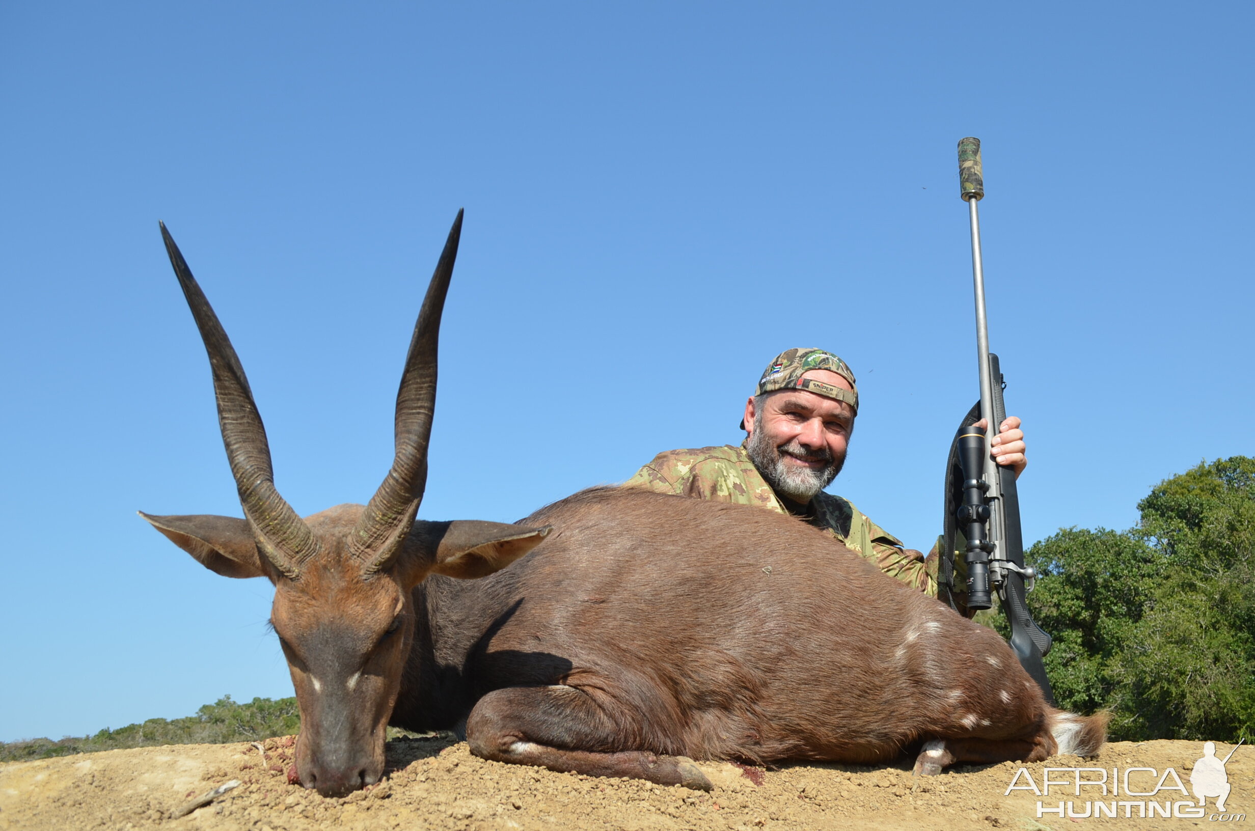 Bushbuck Hunting South Africa