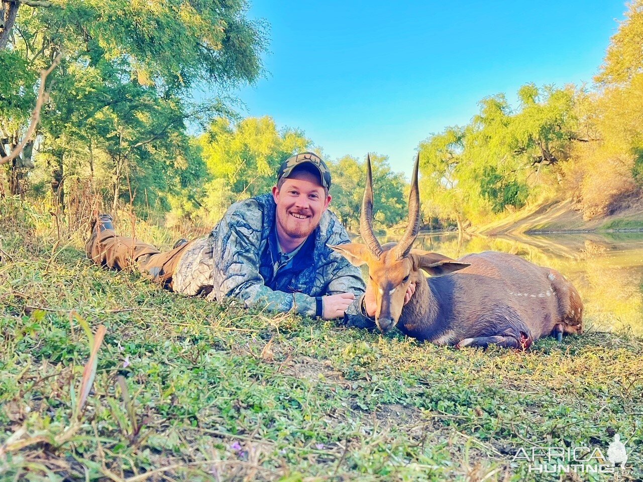 Bushbuck Hunting South Africa