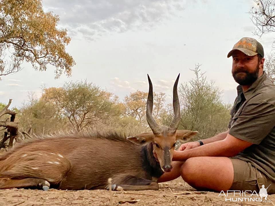 Bushbuck Hunting South Africa