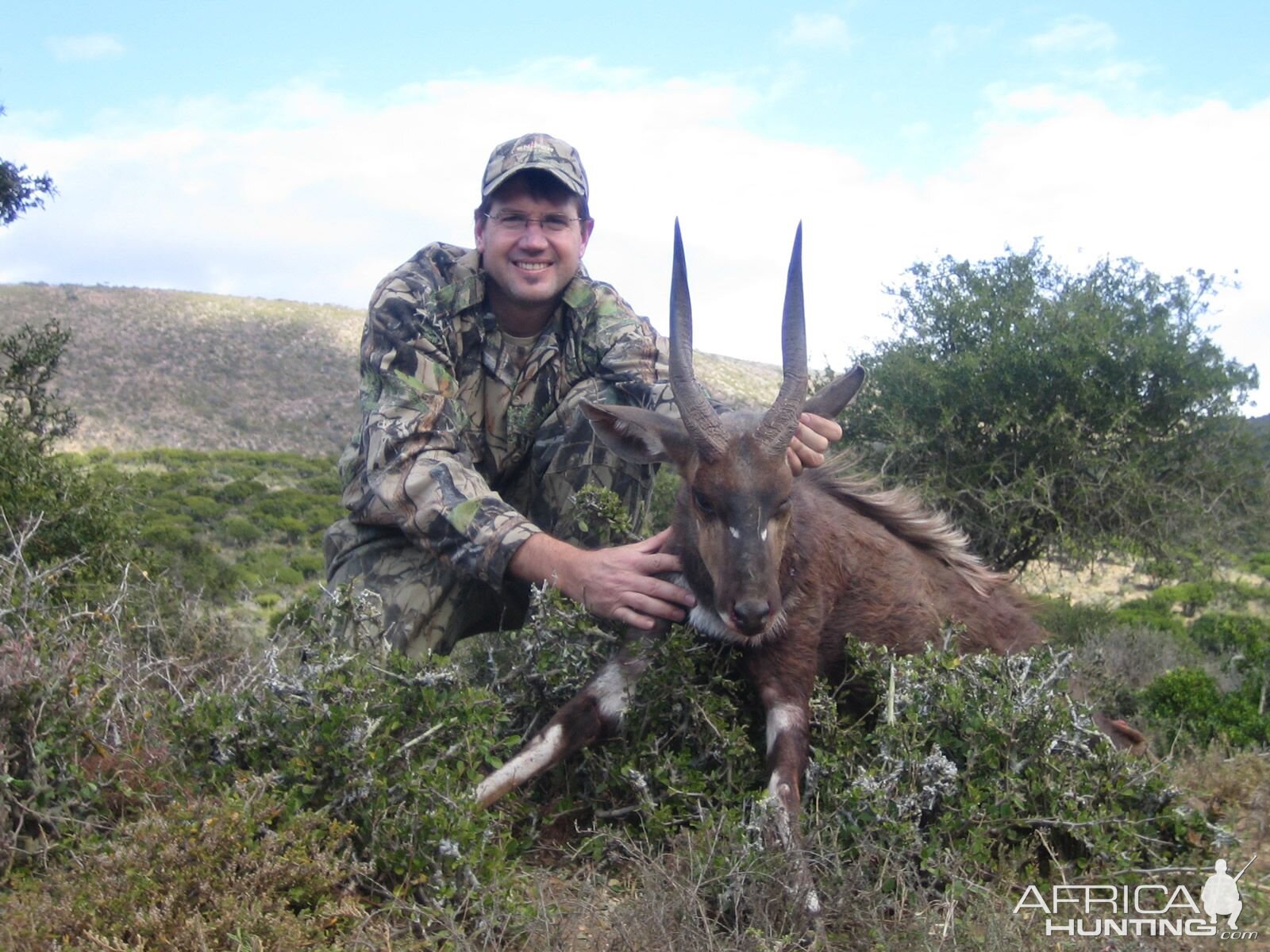 Bushbuck  Hunting South Africa