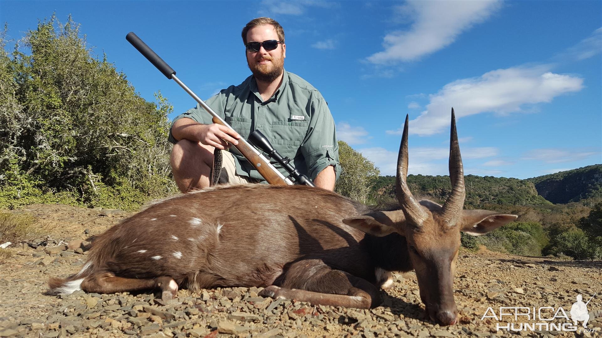 Bushbuck  Hunting South Africa