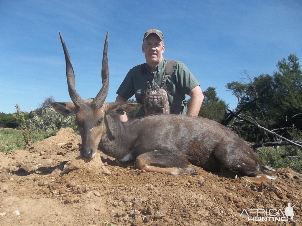 Bushbuck  Hunting South Africa