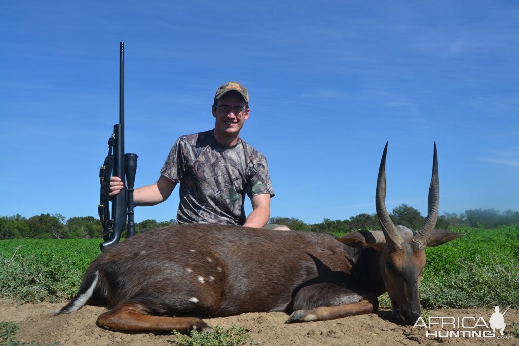 Bushbuck  Hunting South Africa