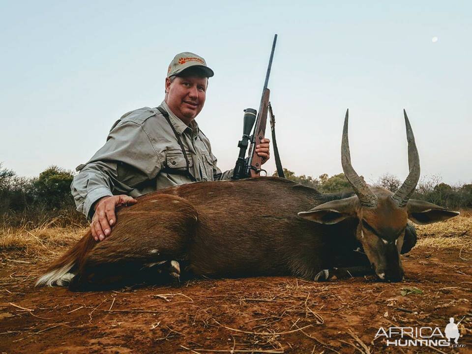 Bushbuck  Hunting South Africa