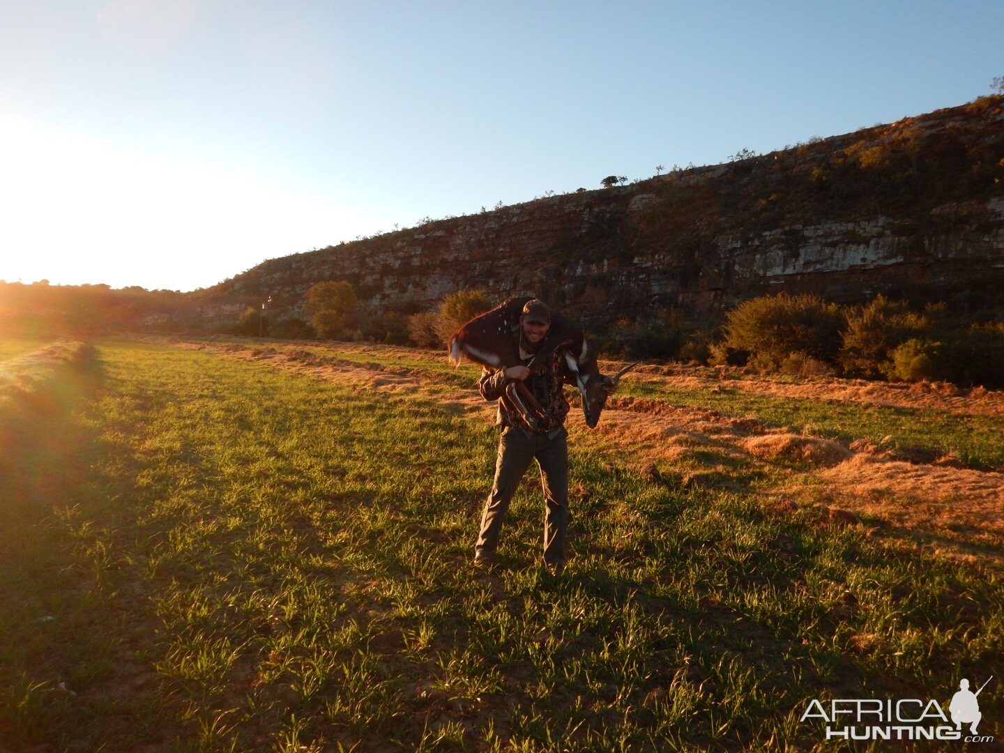 Bushbuck  Hunting South Africa