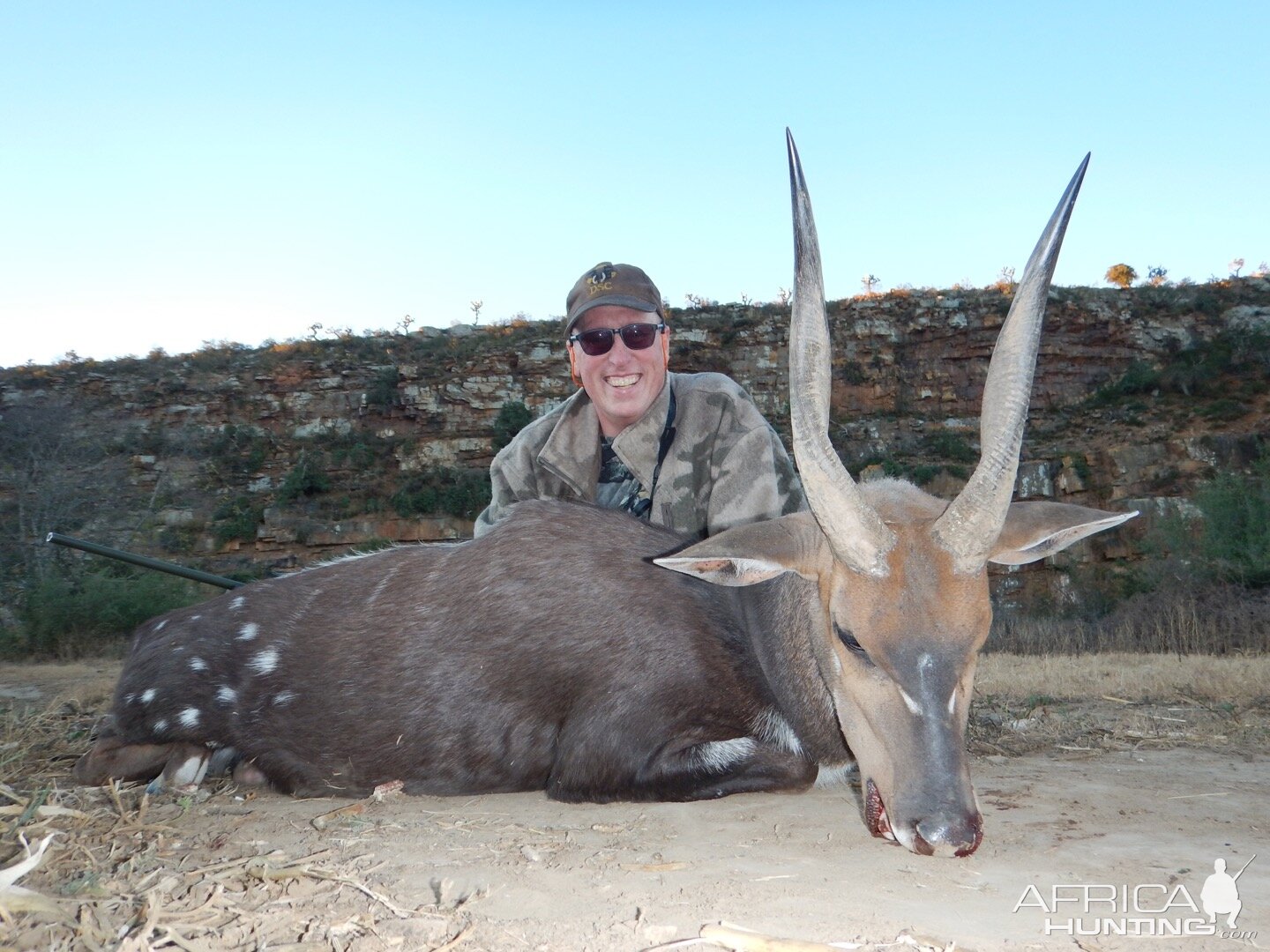 Bushbuck  Hunting South Africa