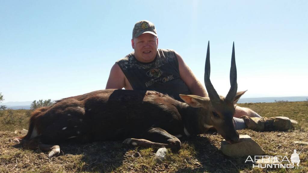 Bushbuck  Hunting South Africa