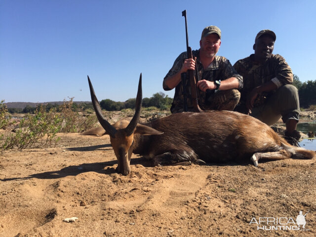 Bushbuck Hunting South Africa