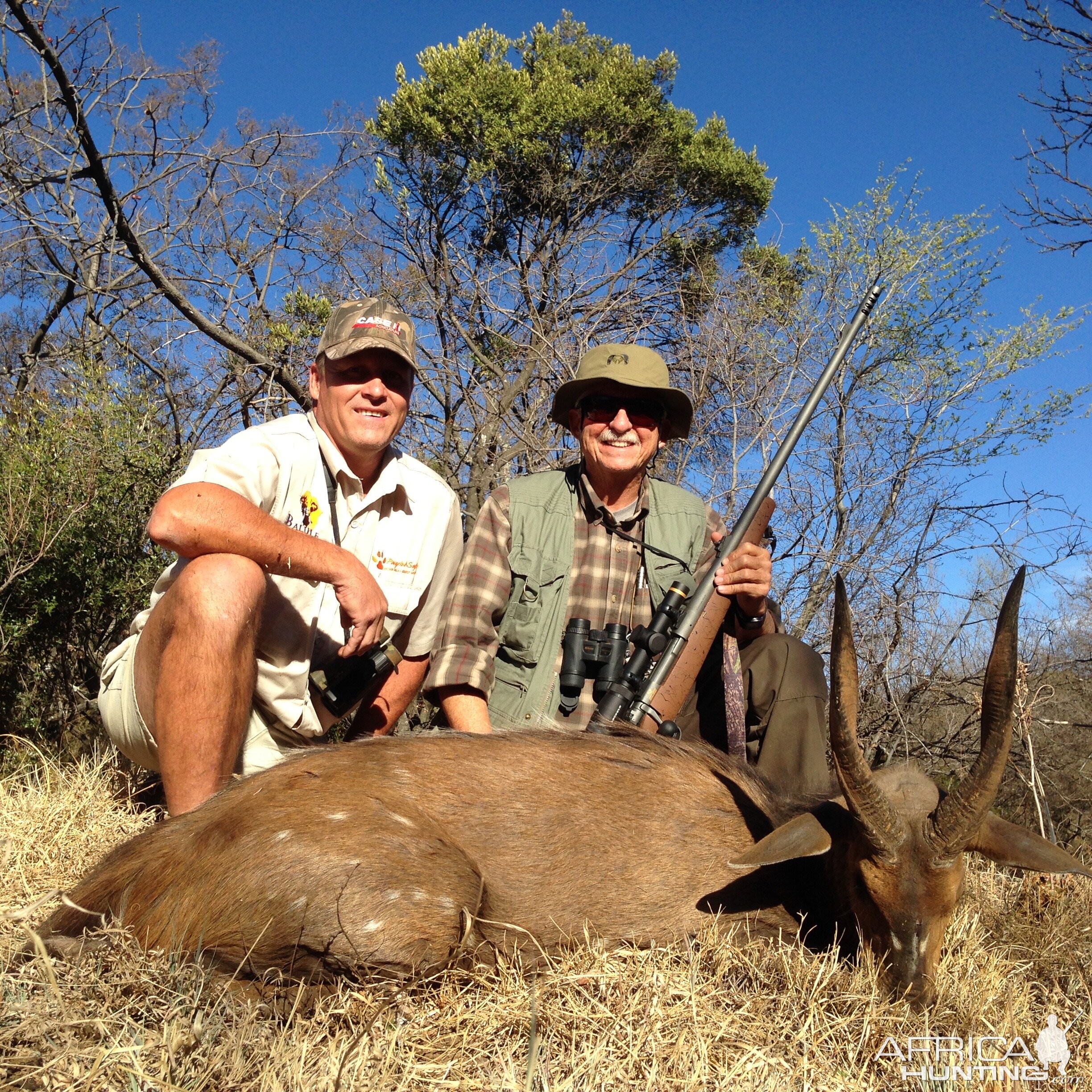 Bushbuck  Hunting South Africa