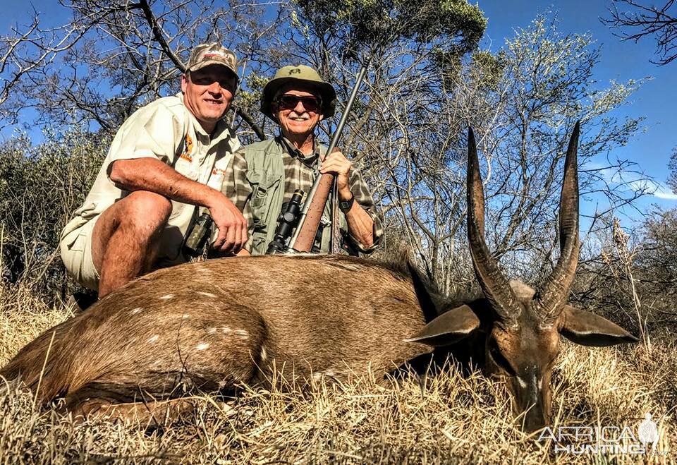 Bushbuck Hunting South Africa