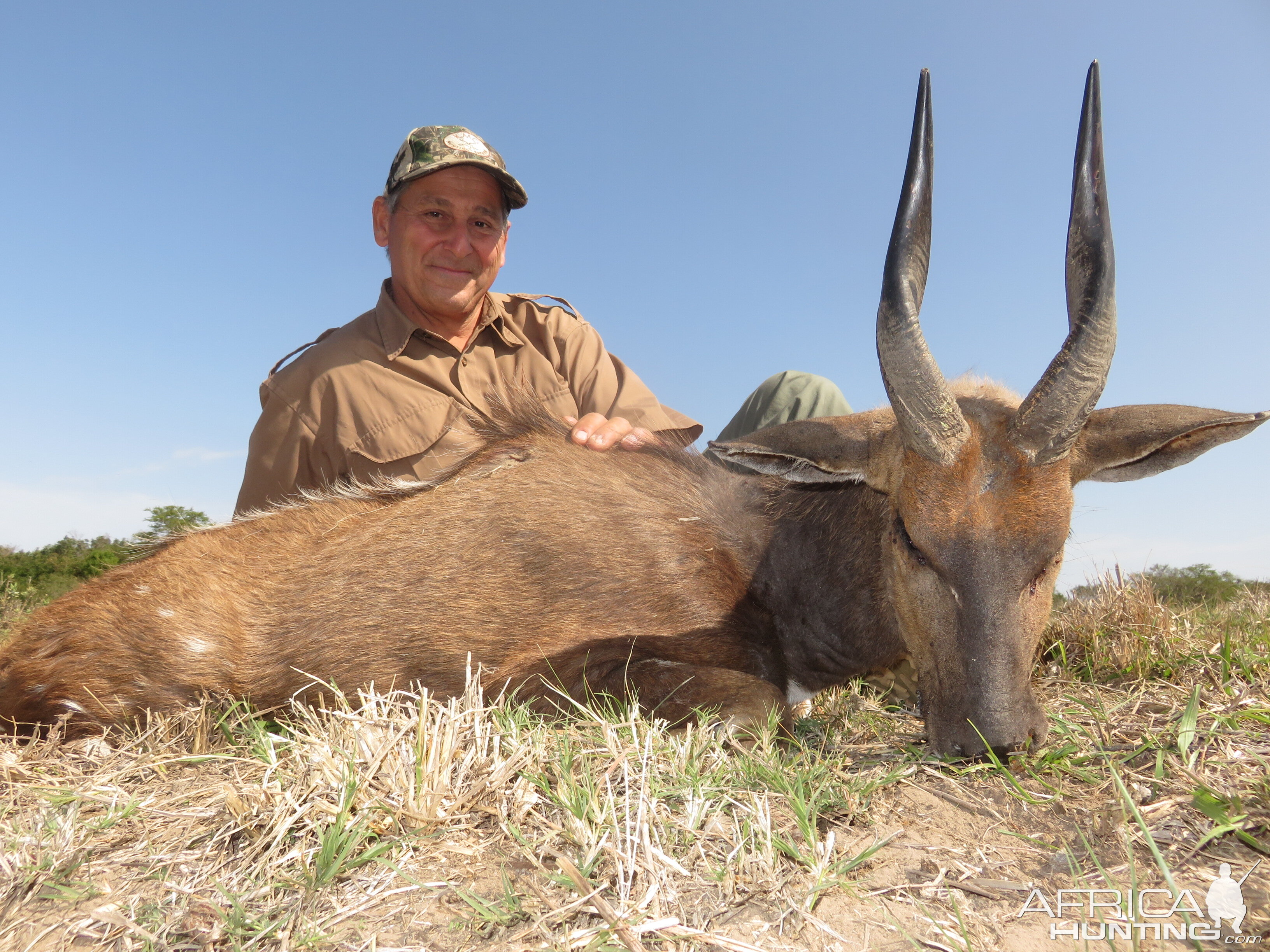 Bushbuck Hunting South Africa