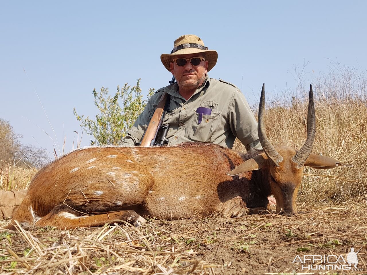 Bushbuck  Hunting South Africa