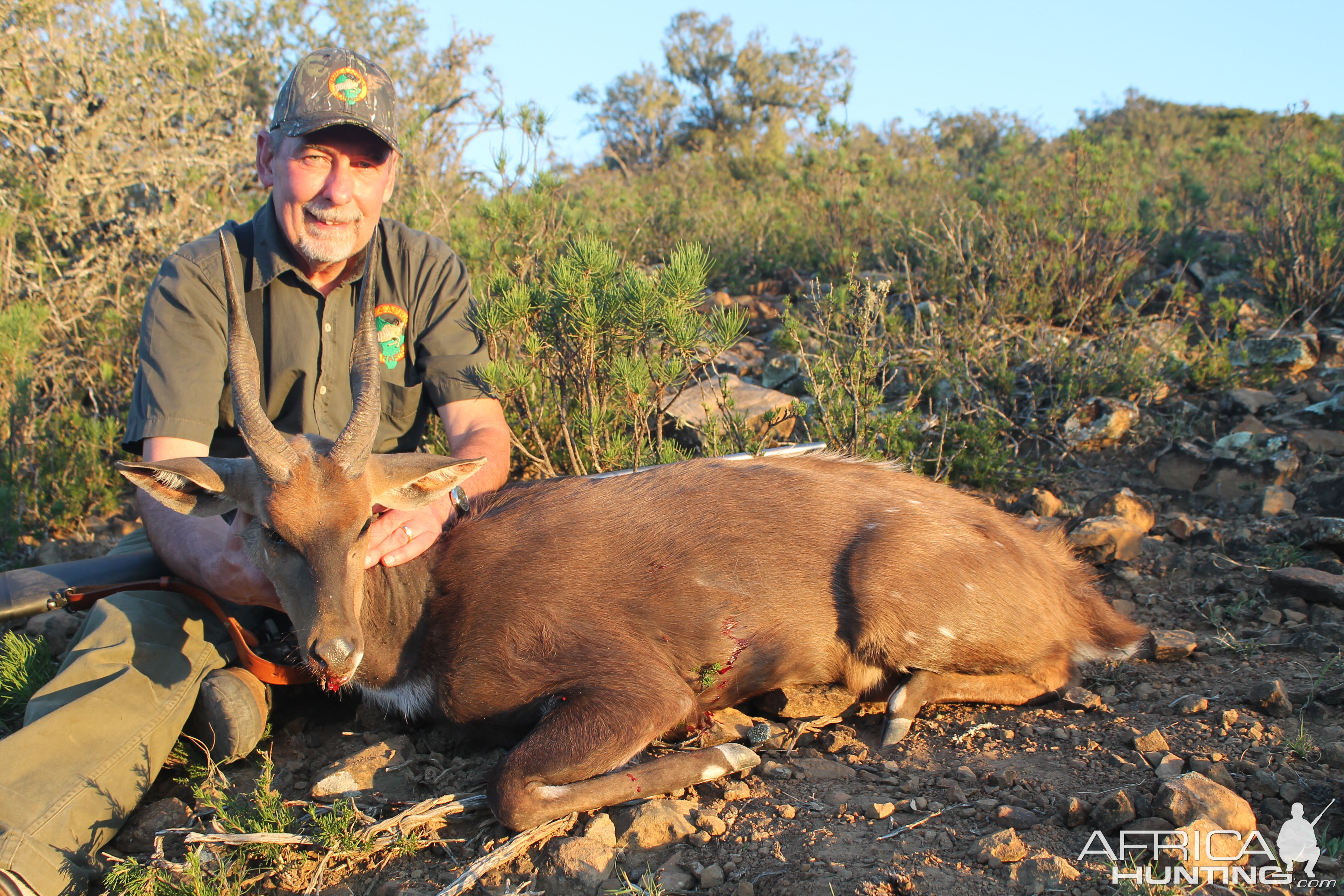 Bushbuck  Hunting South Africa