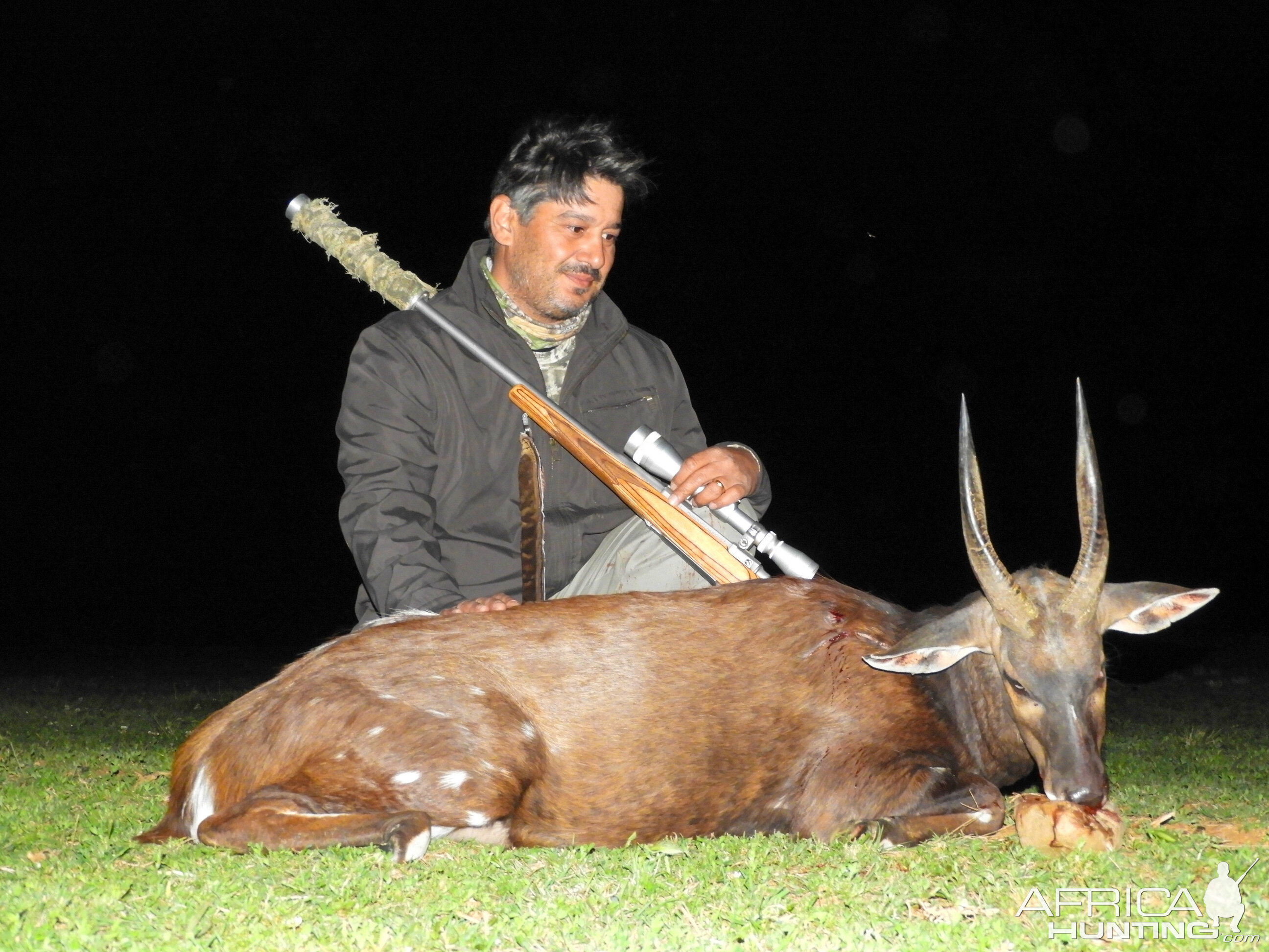 Bushbuck  Hunting South Africa