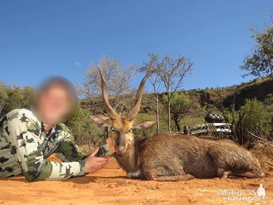 Bushbuck Hunting South Africa