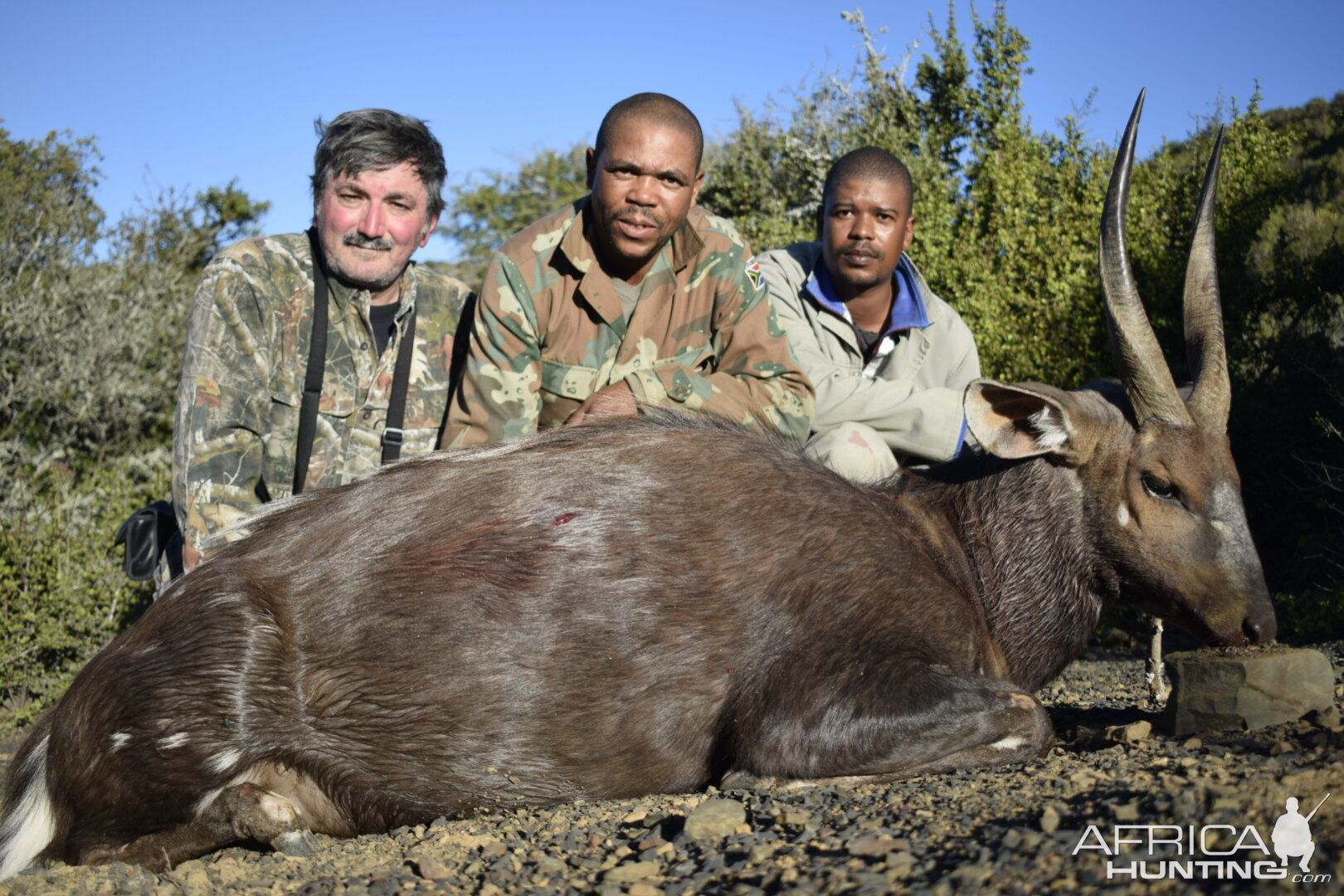 Bushbuck Hunting South Africa